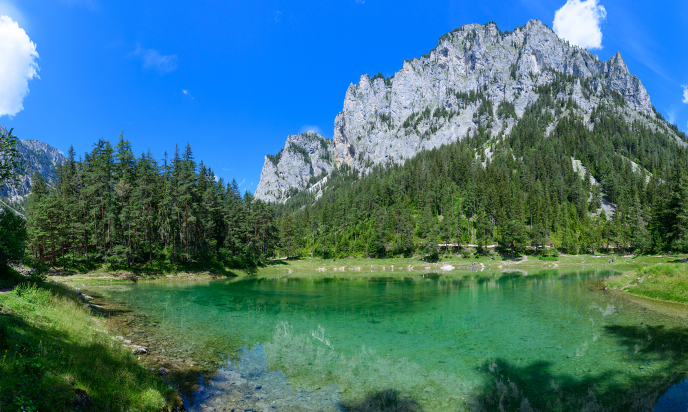 Top 20 Seen in Österreich